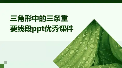 三角形中的三条重要线段ppt优秀课件