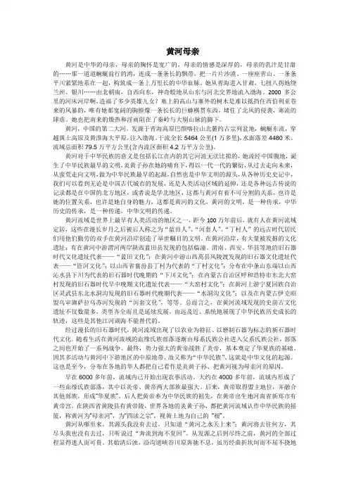 黄河史