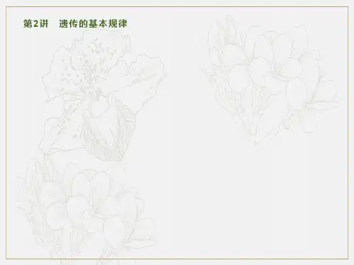 2020版高考生物大二轮培优通用版课件:专题四 第2讲 遗传的基本规律