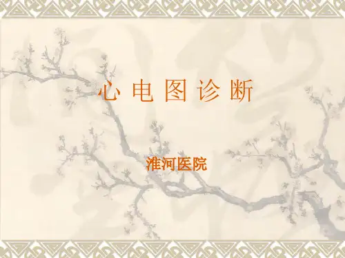 心电图_心电向量详解