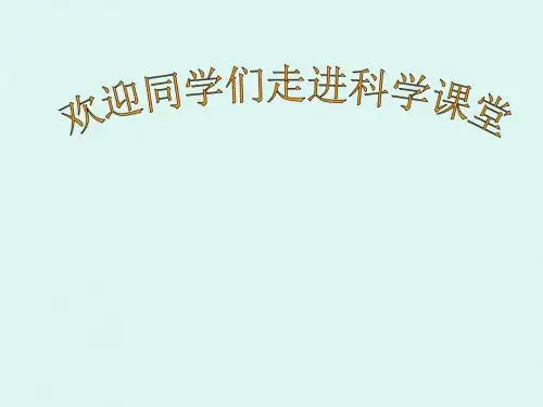 最新审定小学四年级科学上册教科版四上科学《身体的结构》PPTPPT课件