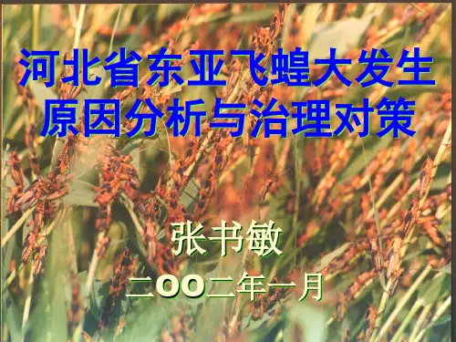 飞蝗发生原因分析