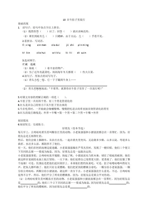10 在牛肚子里旅行