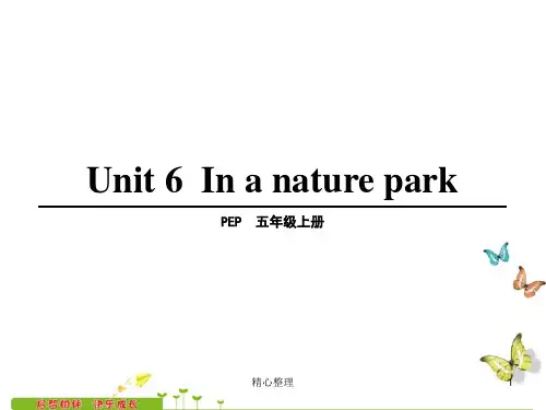 强烈推荐人教版五年级英语上册第六单元课件第1课时.ppt