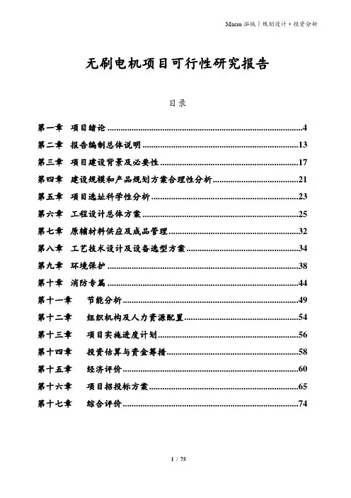 无刷电机项目可行性研究报告