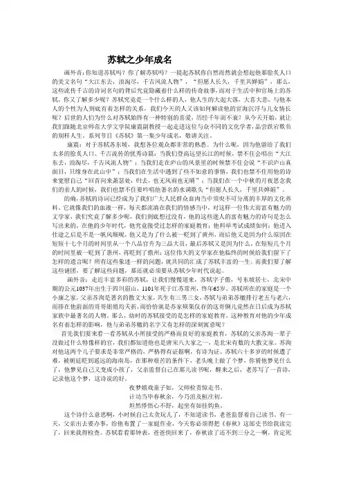 百家讲坛之苏轼
