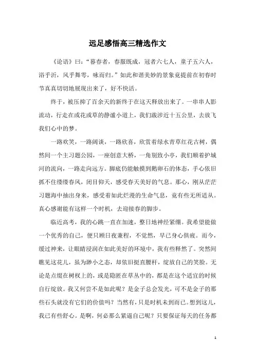 远足感悟高三精选作文