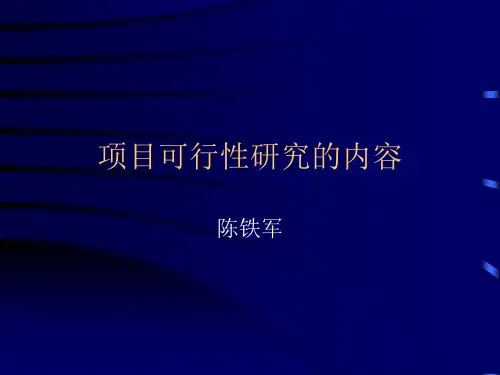 可行性研究内容
