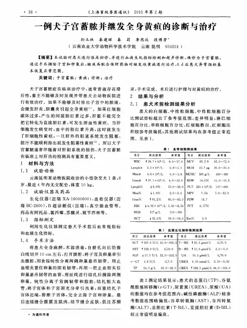 一例犬子宫蓄脓并继发全身黄疸的诊断与治疗