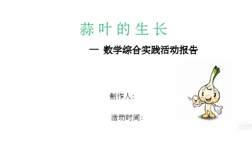 蒜叶的生长(数学实践活动)PPT课件
