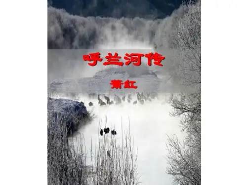 呼兰河传导学案1