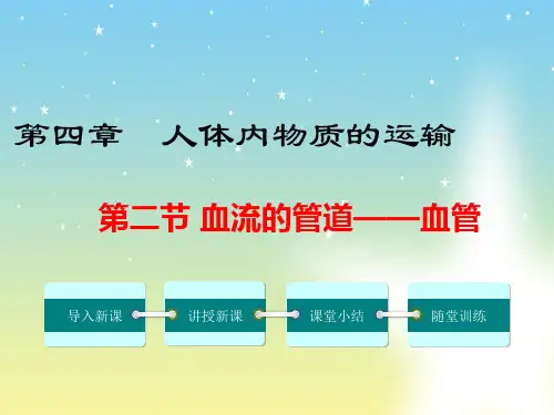 人教版七年级下册生物课件：血流的管道——血管