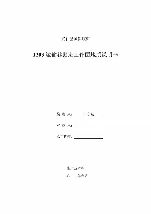 中国矿业论坛_1203回风巷地质说明书