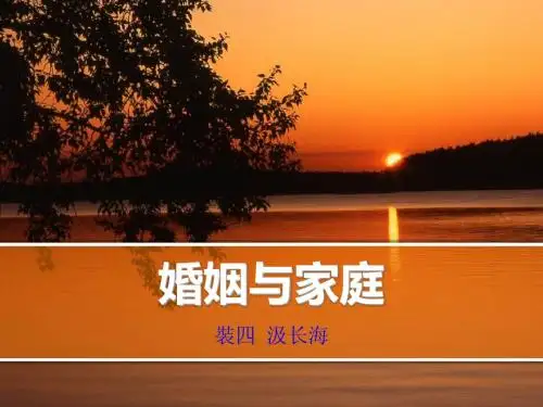 婚姻与家庭