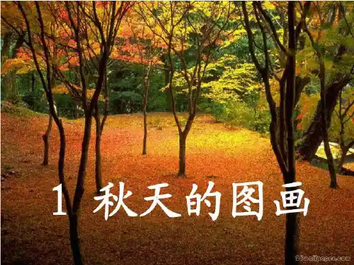1《秋天的图画》精品课PPT课件
