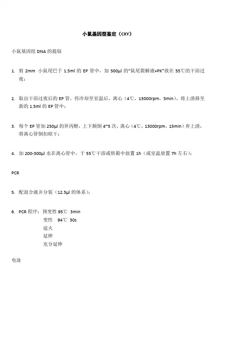 小鼠基因型鉴定