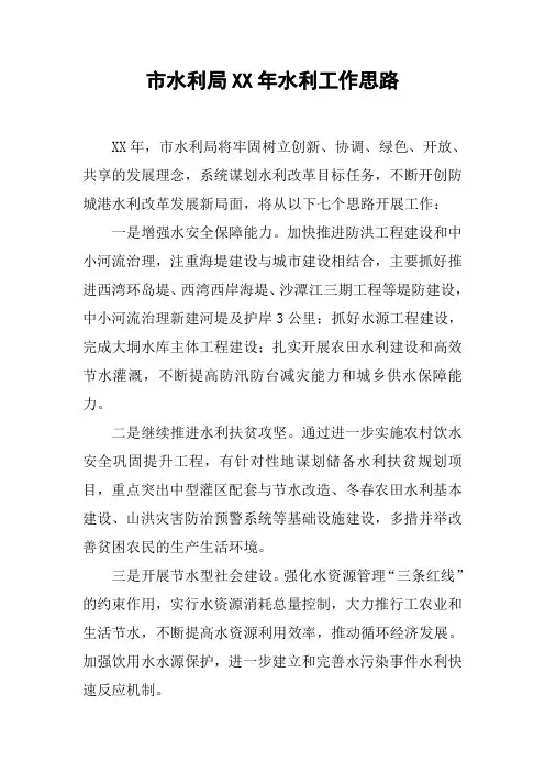 市水利局XX年水利工作思路