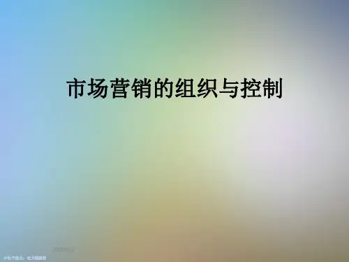 市场营销的组织与控制