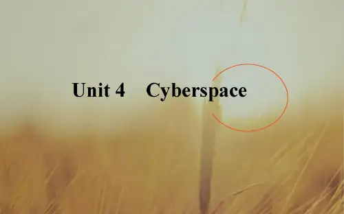 2019高三英语北师大版一轮课件：Unit 4 Cyberspace 精品