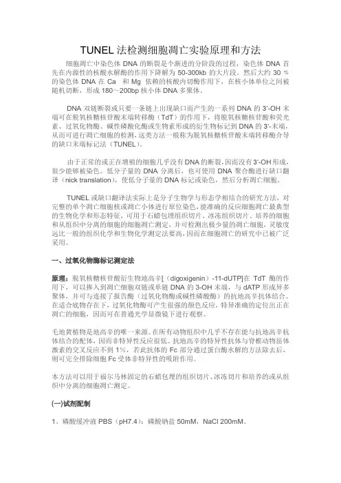 TUNEL法检测细胞凋亡试验原理和方法