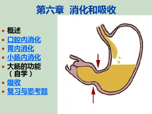 生理学第六章 消化与吸收