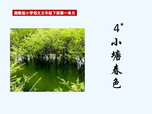 小塘春色