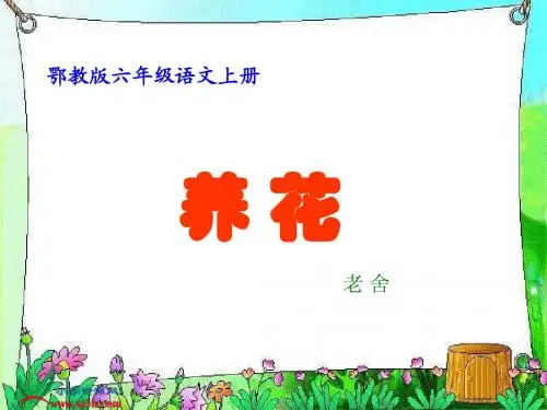 (鄂教版)六年级语文上册课件 养花 1