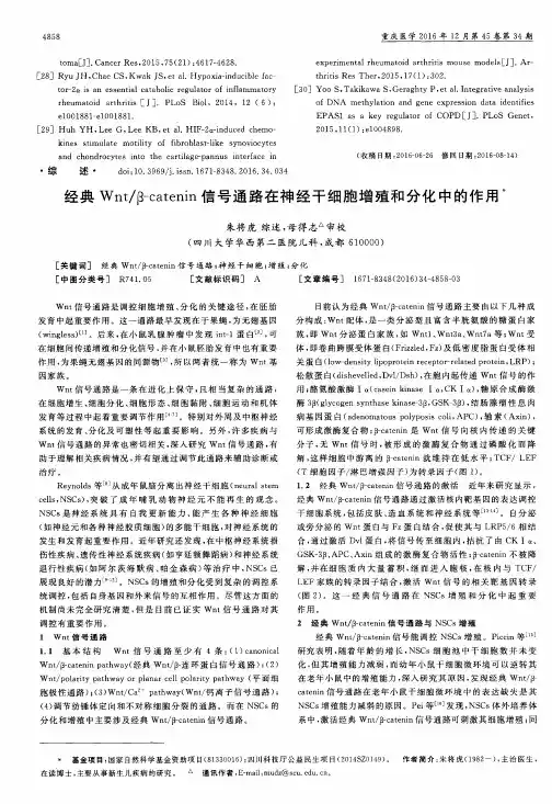 经典Wnt／β-catenin信号通路在神经干细胞增殖和分化中的作用