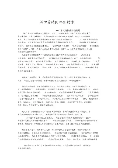 肉牛如何养殖大全