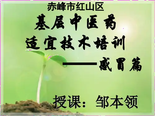 基层中医药适宜技术培训感冒精品PPT课件