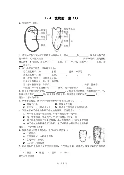 浙教版科学七年级下册第一章第四节-植物的一生 练习(有答案)