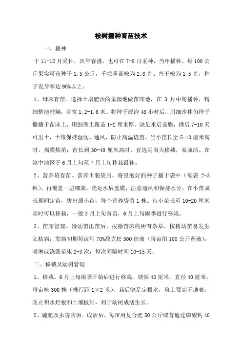桉树播种育苗技术
