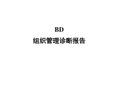 XXBD组织管理诊断报告