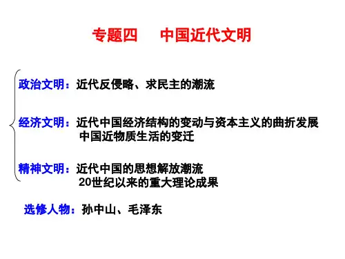 中国近代文明综述