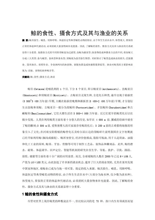 鲸的食性、摄食方式及其与渔业的关系