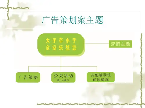 小快克策划案媒体策略展示部分