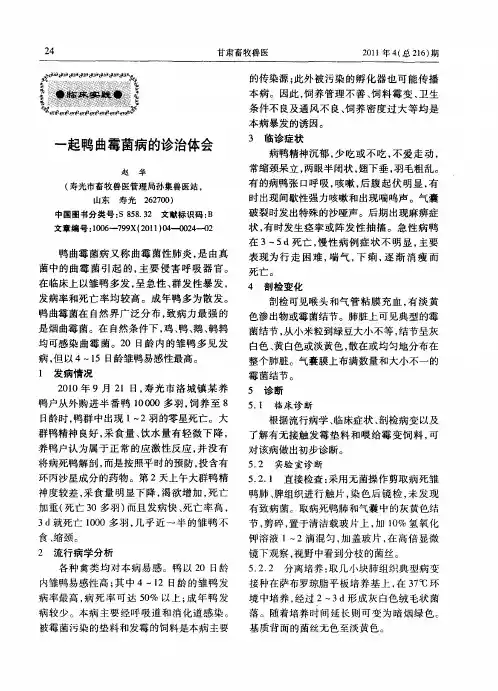 一起鸭曲霉菌病的诊治体会
