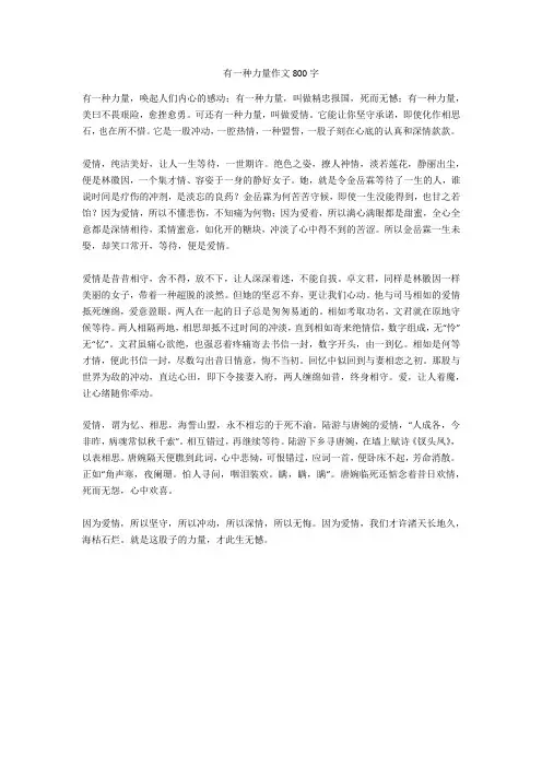 有一种力量作文800字(优秀作文)