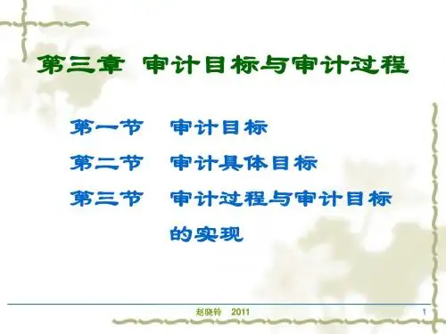 3审计目标与审计过程