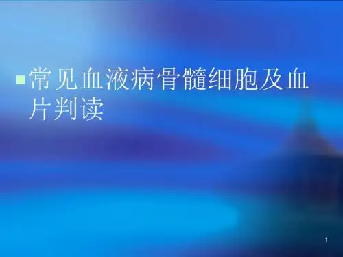 常见血液病骨髓细胞及血片判读ppt课件