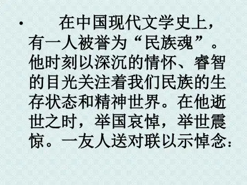 《纪念刘和珍君2