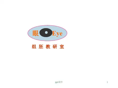 《组织学与胚胎学》眼