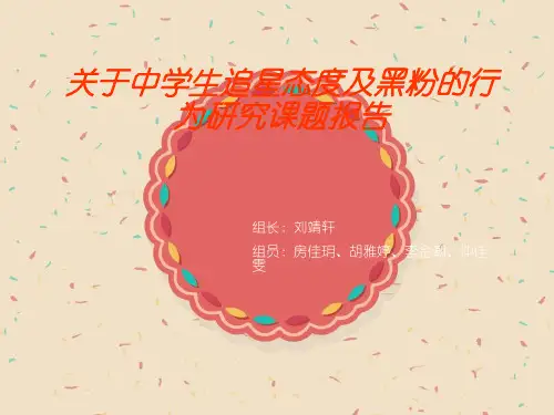 关于青少年追星现象的研究报告