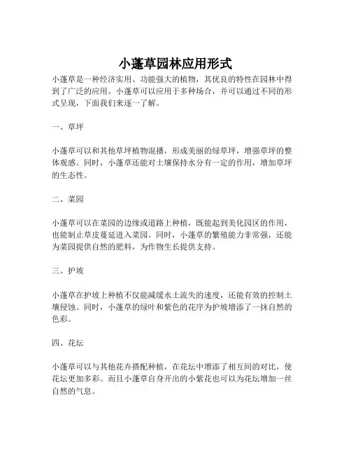 小蓬草园林应用形式