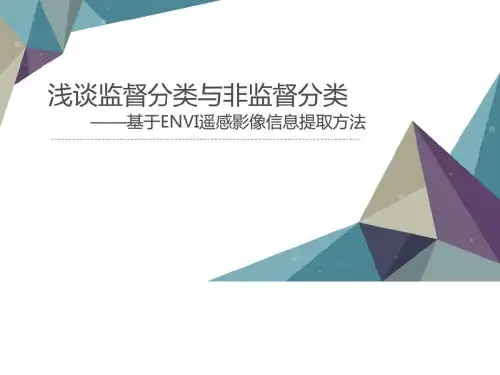 遥感图像信息提取.ppt