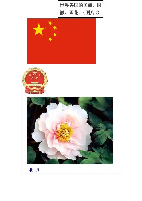 世界各国的国旗、国徽、国花(图片)介绍