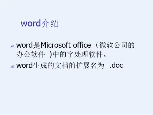 Word文字编辑