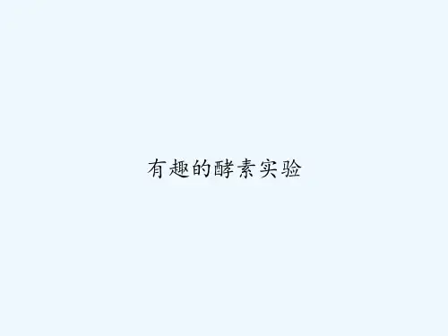 有趣的酵素实验 PPT