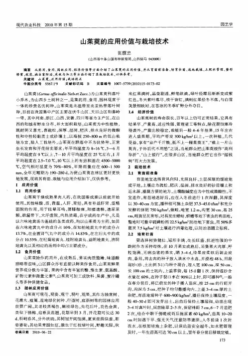 山茱萸的应用价值与栽培技术