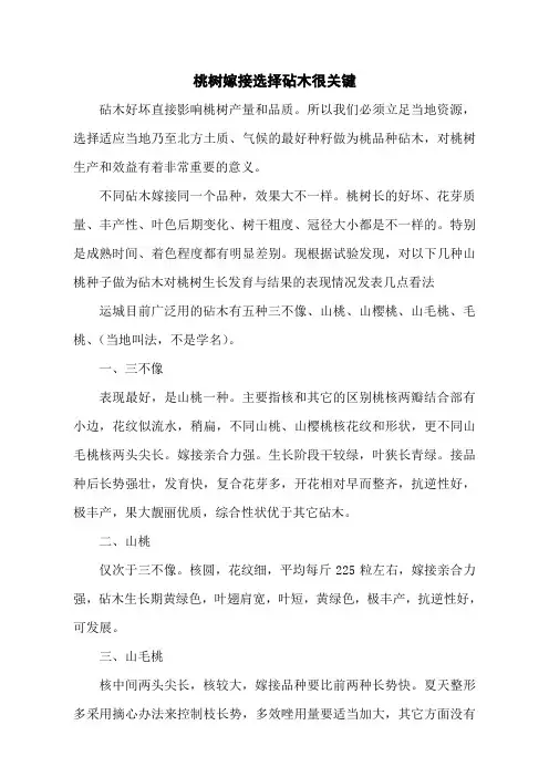 桃树嫁接选择砧木很关键